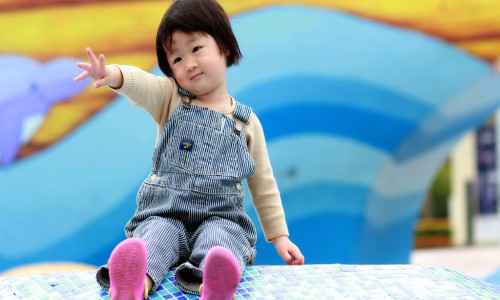 仓而子功效网仓耳子图片攻效与作用叶子有什么药用治疗什么知识网站,分享苍尔子的作用大全